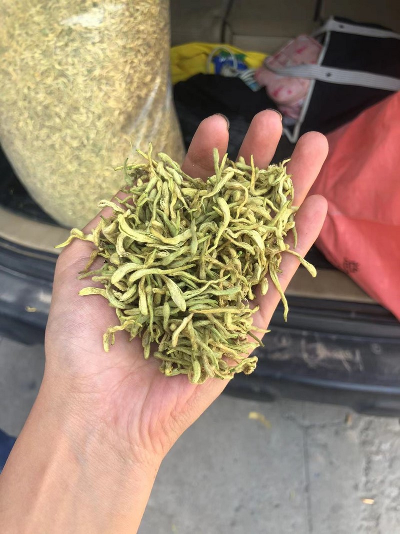 金银花干花 (5)