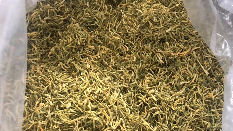 金银花干花 (6)